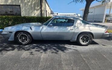 Chevrolet-Camaro-z28-1981-Silver-metallic-Gray-and-black-14