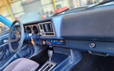 Chevrolet-Camaro-z28-1981-Silver-metallic-Gray-and-black-42