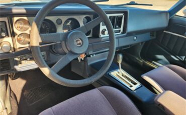 Chevrolet-Camaro-z28-1981-Silver-metallic-Gray-and-black-7