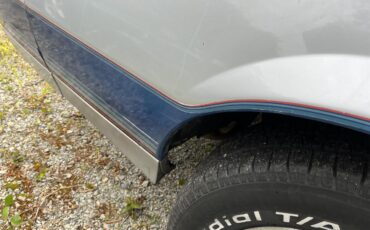 Chevrolet-Camaro-z28-1982-Silver-Bluegray-14