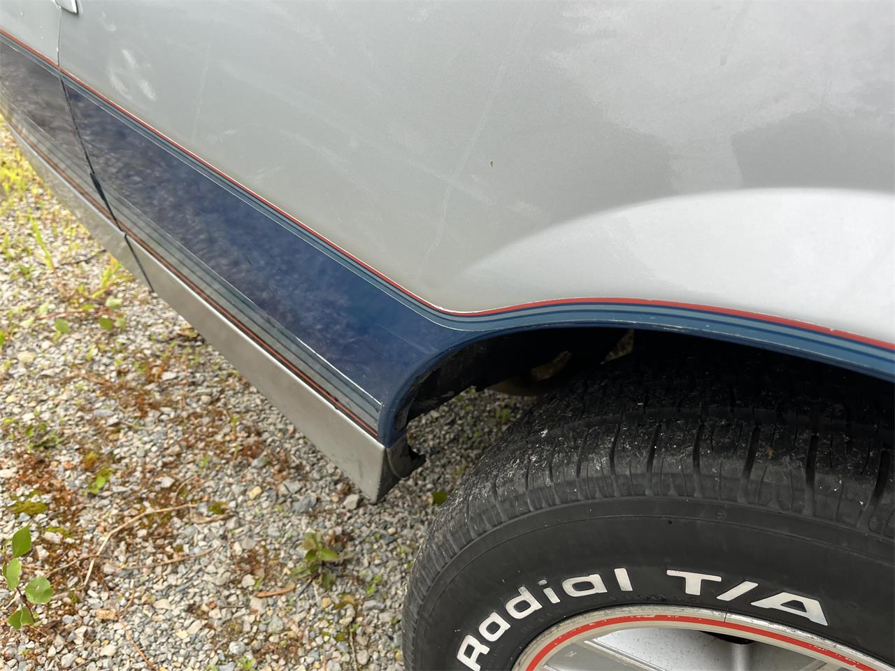Chevrolet-Camaro-z28-1982-Silver-Bluegray-14