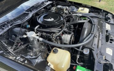 Chevrolet-Camaro-z28-1984-Black-w-Gold-trim-Tan-13
