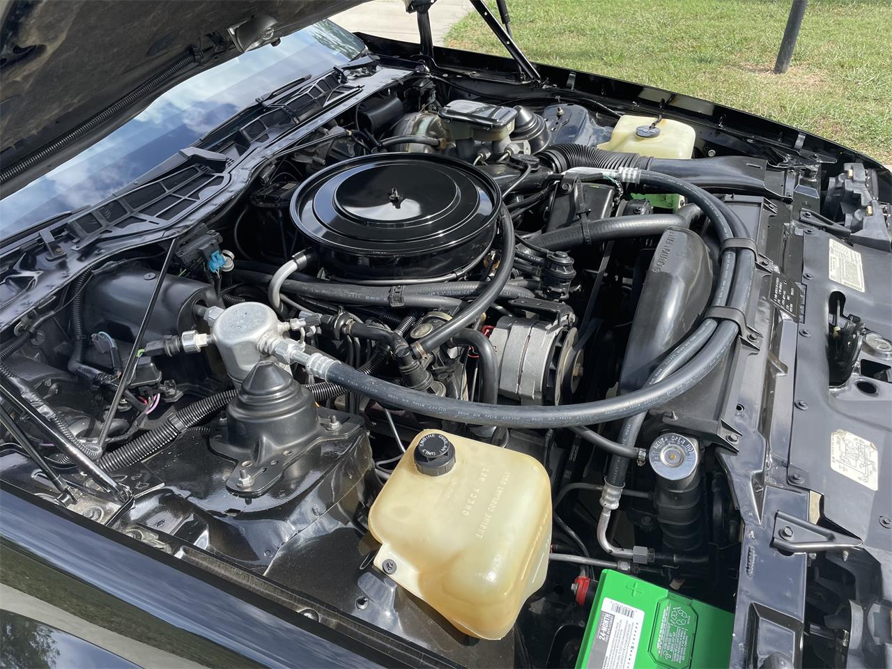 Chevrolet-Camaro-z28-1984-Black-w-Gold-trim-Tan-13