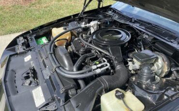 Chevrolet-Camaro-z28-1984-Black-w-Gold-trim-Tan-14
