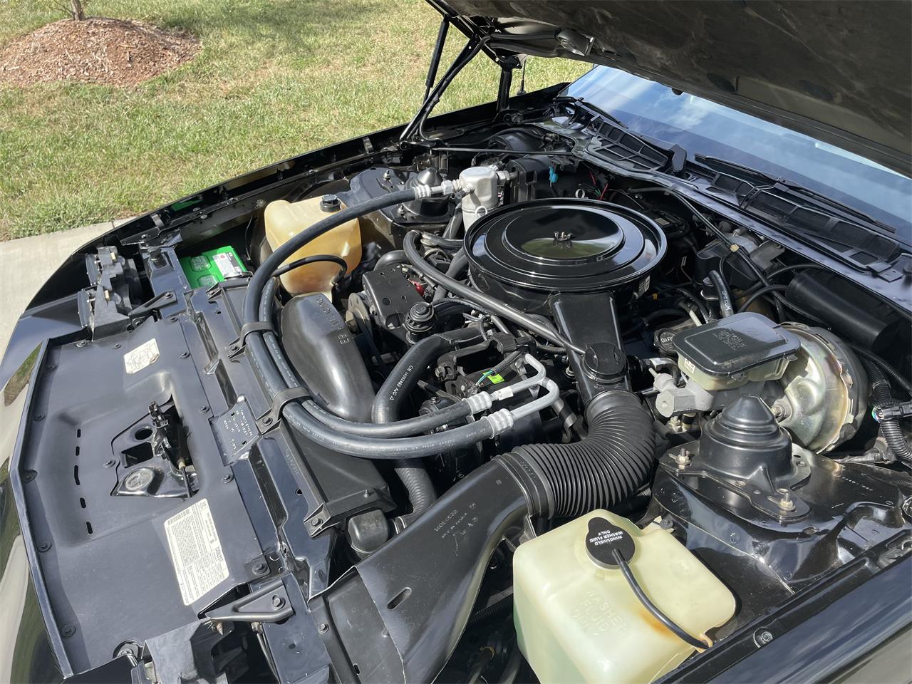 Chevrolet-Camaro-z28-1984-Black-w-Gold-trim-Tan-14