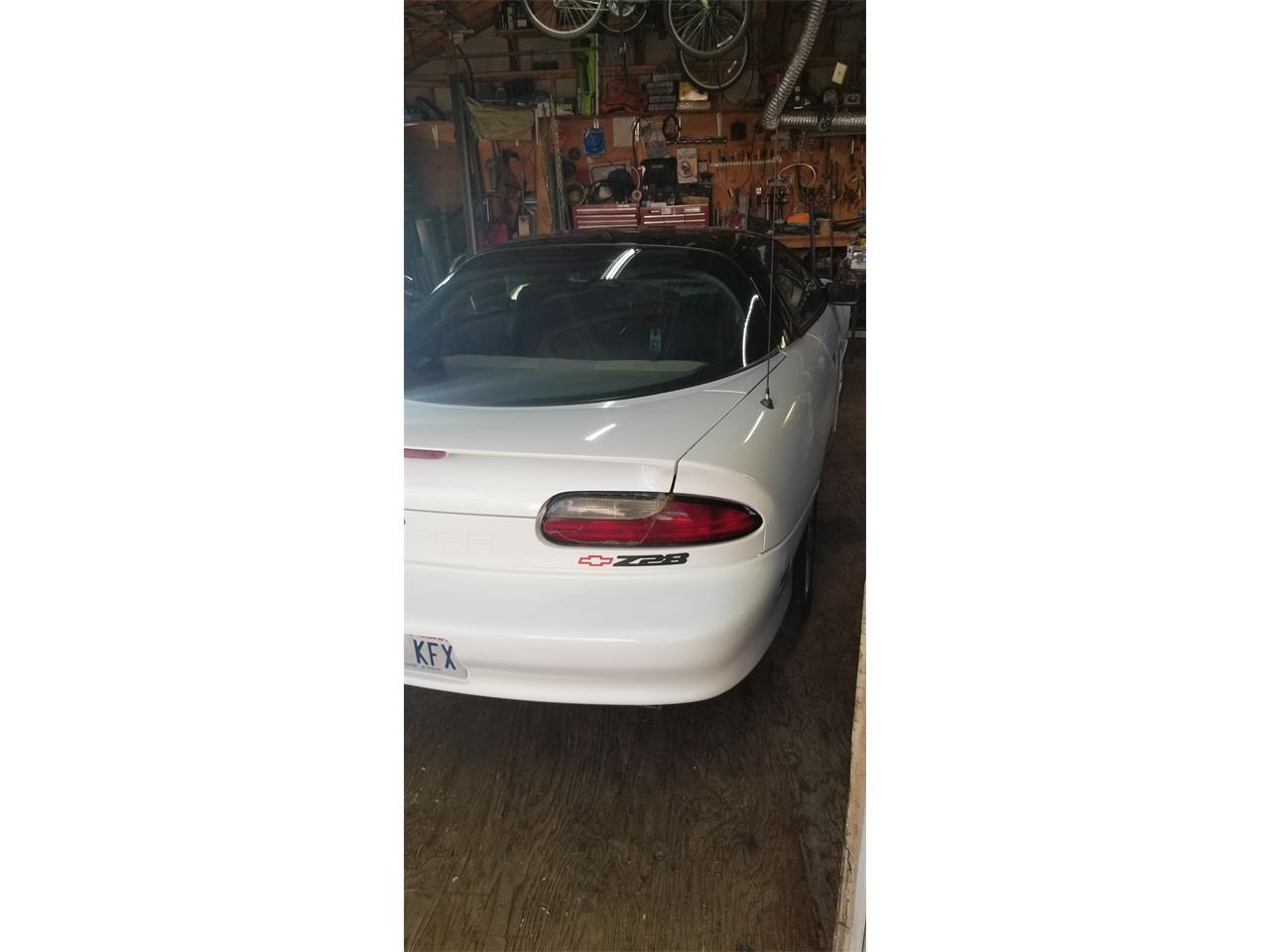 Chevrolet-Camaro-z28-1994-White-amp-black-Light-and-dark-gray-10