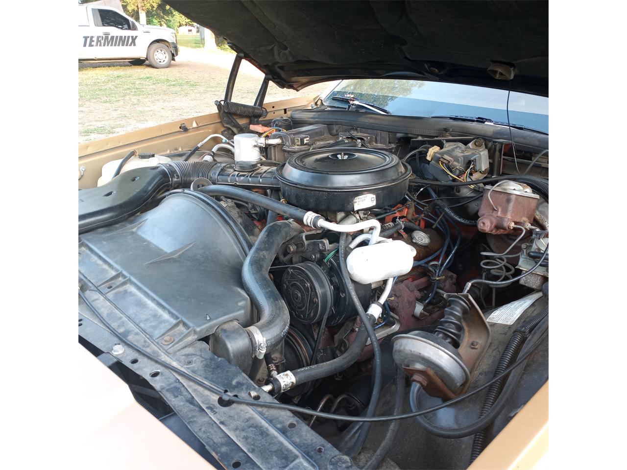 Chevrolet-Caprice-1977-Tan-Tan-3