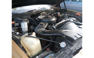 Chevrolet-Caprice-1977-Tan-Tan-4