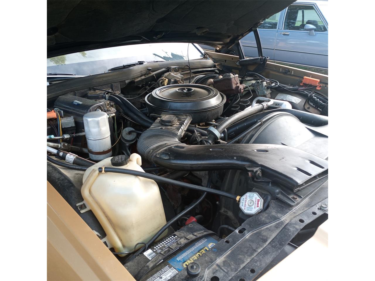 Chevrolet-Caprice-1977-Tan-Tan-4