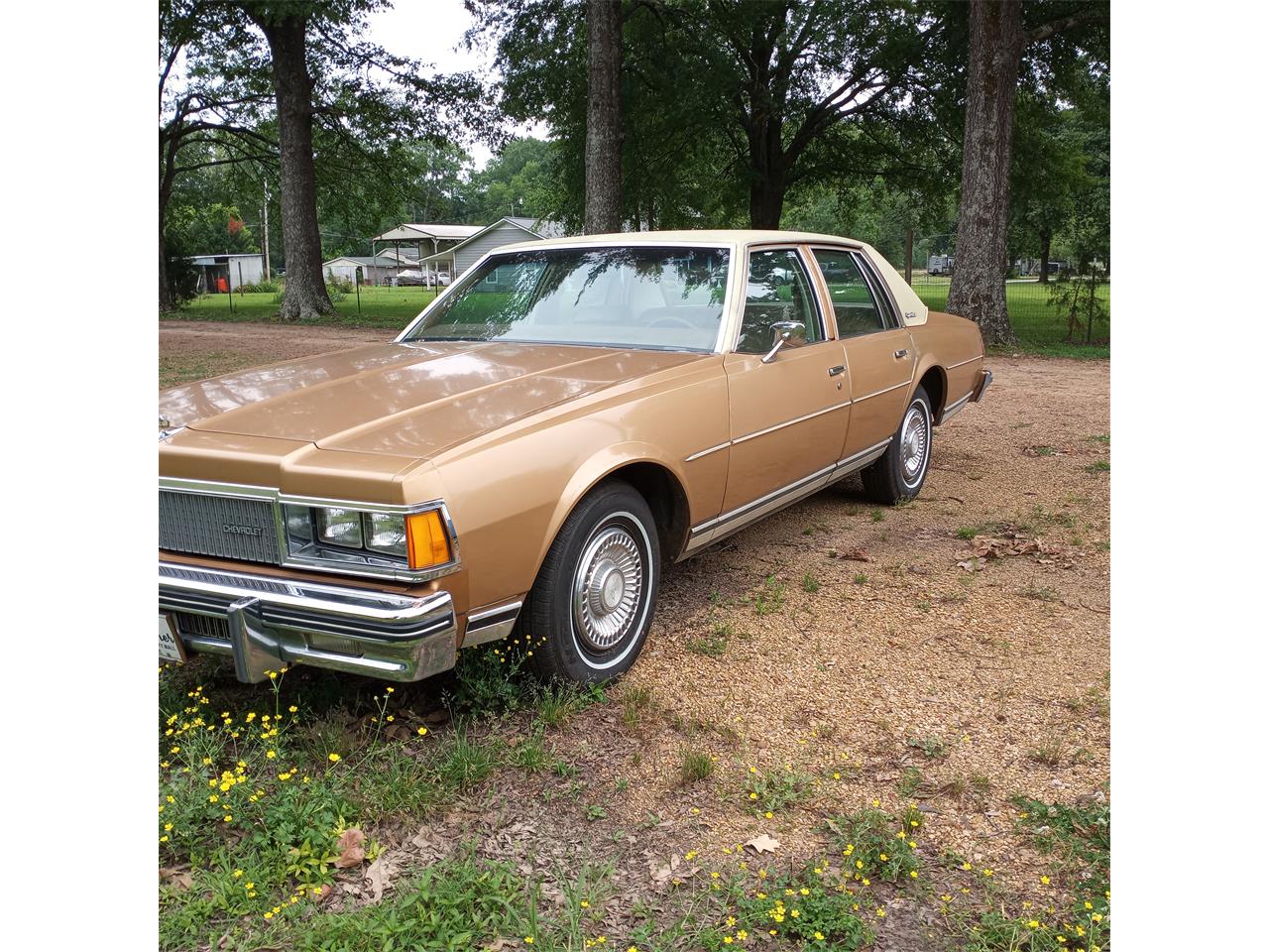 Chevrolet-Caprice-1977-Tan-Tan-5
