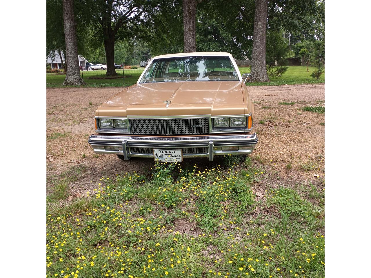 Chevrolet-Caprice-1977-Tan-Tan-6
