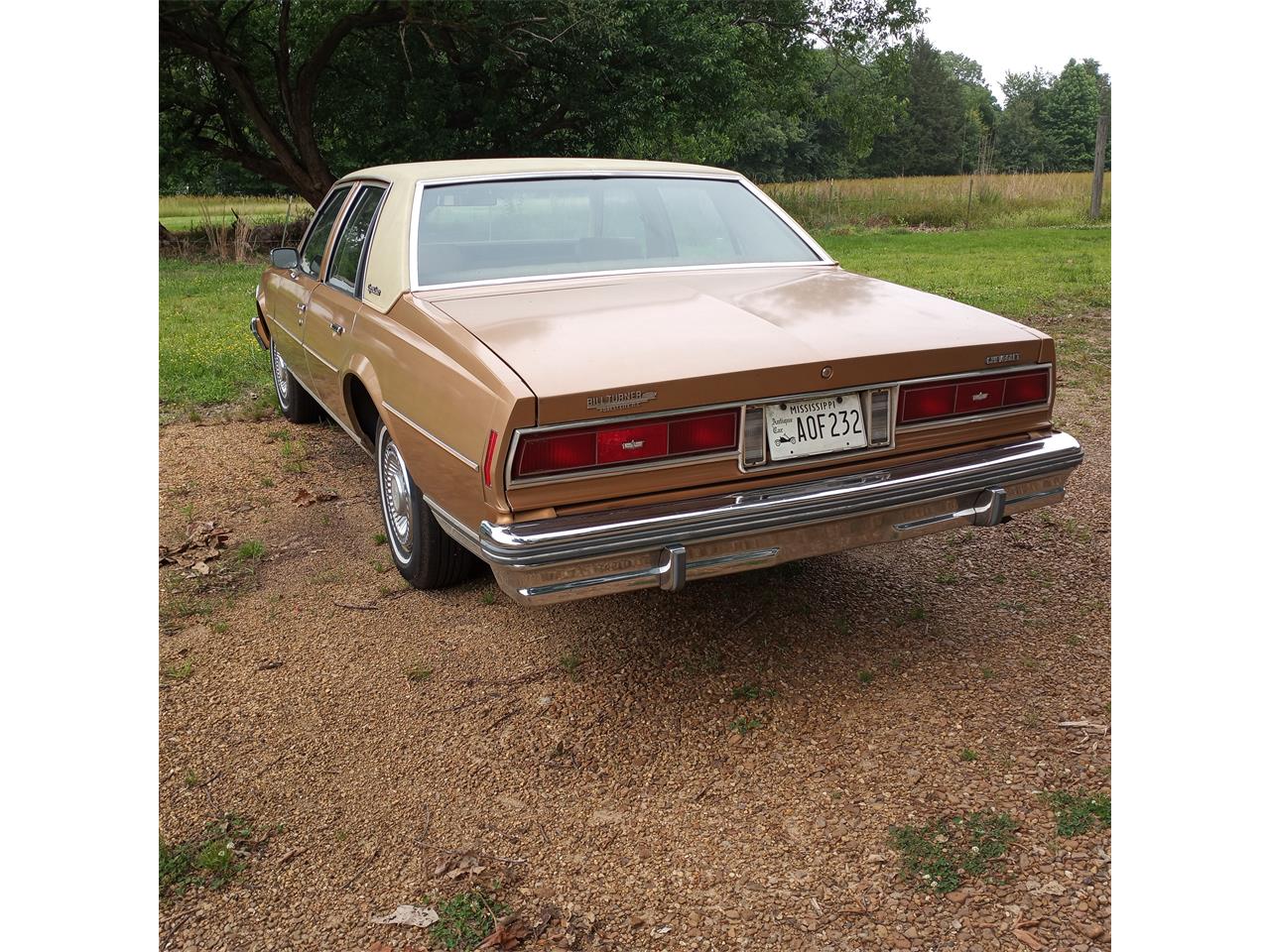 Chevrolet-Caprice-1977-Tan-Tan-8