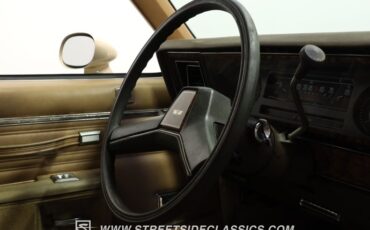 Chevrolet-Caprice-1981-Beige-Camel-24