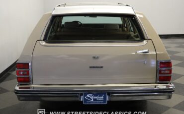 Chevrolet-Caprice-1981-Beige-Camel-34
