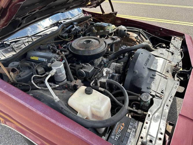 Chevrolet-Caprice-1989-4