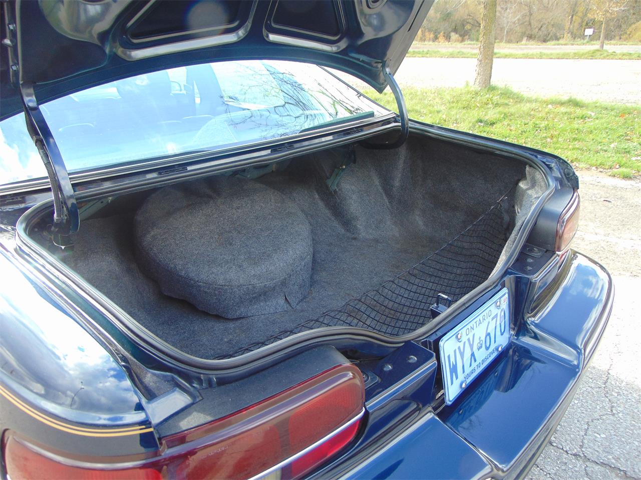 Chevrolet-Caprice-1991-Dark-Sapphire-Federal-Blue-9