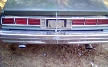 Chevrolet-Caprice-classic-1978-Green-4