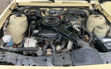 Chevrolet-Cavalier-1986-3