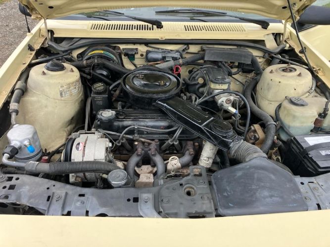 Chevrolet-Cavalier-1986-3