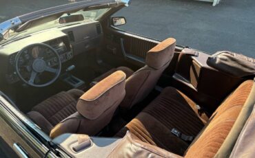 Chevrolet-Cavalier-f41-convertible-1984-brown-10