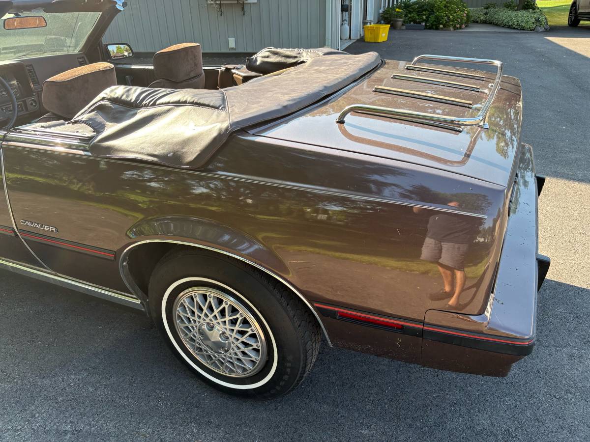 Chevrolet-Cavalier-f41-convertible-1984-brown-12