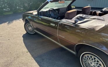 Chevrolet-Cavalier-f41-convertible-1984-brown-14