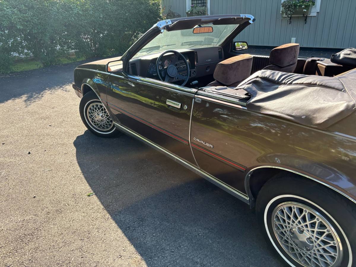 Chevrolet-Cavalier-f41-convertible-1984-brown-14
