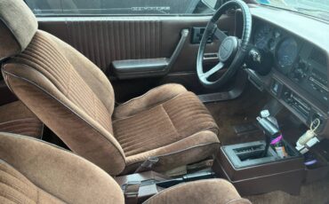 Chevrolet-Cavalier-f41-convertible-1984-brown