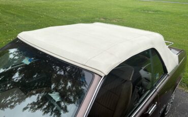 Chevrolet-Cavalier-f41-convertible-1984-brown-4