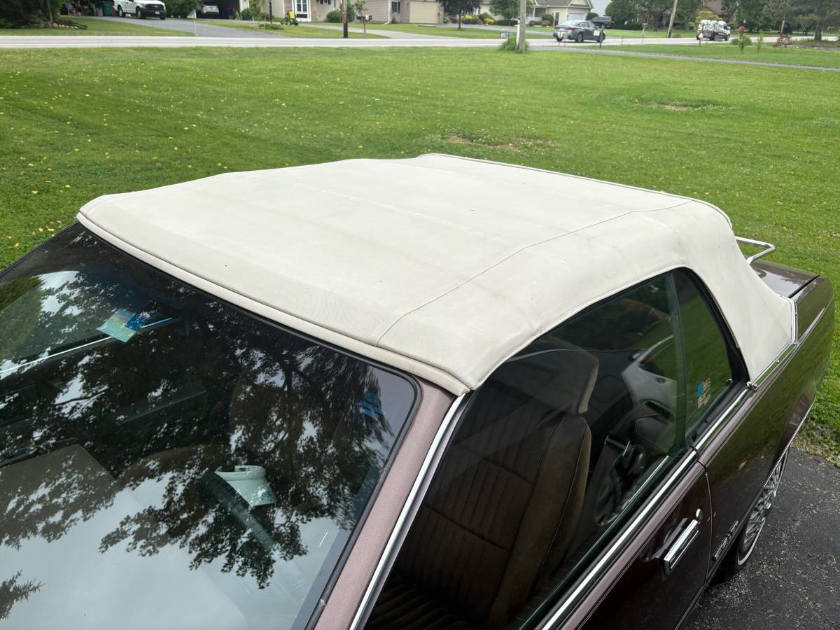 Chevrolet-Cavalier-f41-convertible-1984-brown-4