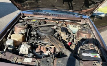 Chevrolet-Cavalier-f41-convertible-1984-brown-8