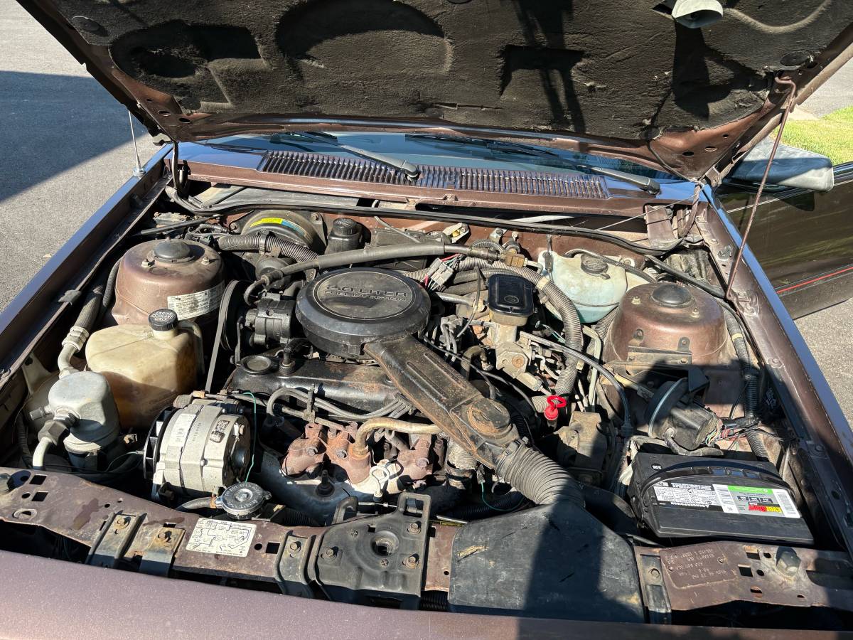 Chevrolet-Cavalier-f41-convertible-1984-brown-8