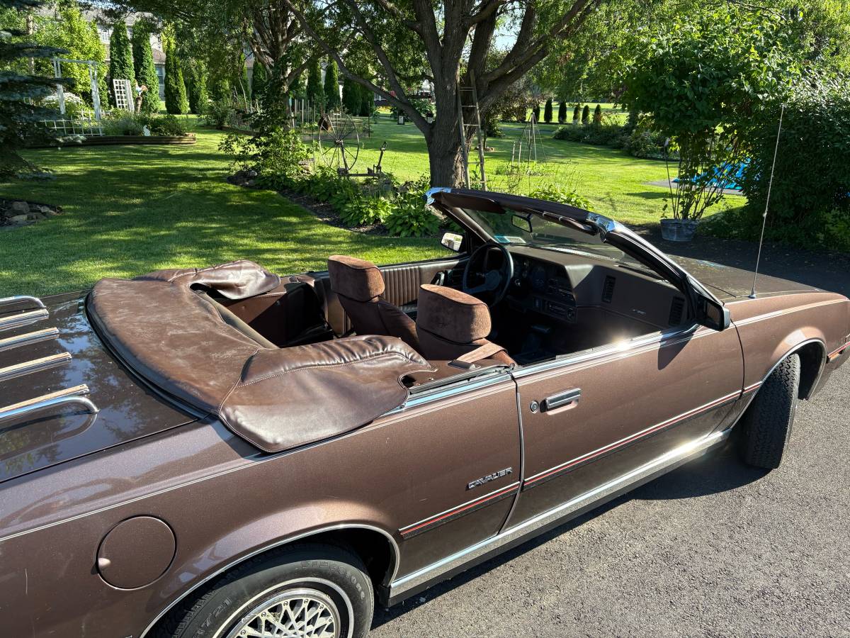 Chevrolet-Cavalier-f41-convertible-1984-brown-9