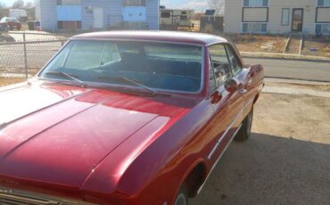Chevrolet-Chevelle-1966-3
