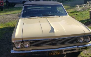 Chevrolet-Chevelle-1966-Butternut-yellow-11