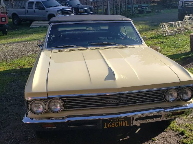 Chevrolet-Chevelle-1966-Butternut-yellow-11