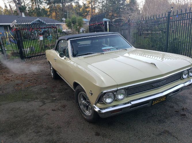 Chevrolet-Chevelle-1966-Butternut-yellow-13