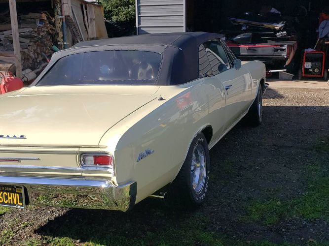 Chevrolet-Chevelle-1966-Butternut-yellow-4