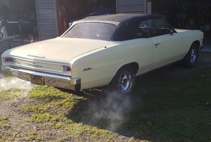 Chevrolet-Chevelle-1966-Butternut-yellow-5