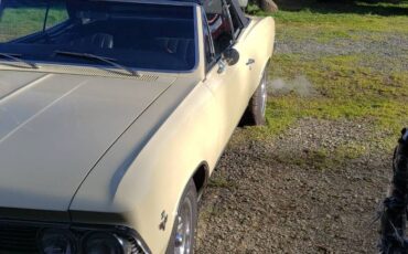 Chevrolet-Chevelle-1966-Butternut-yellow-7
