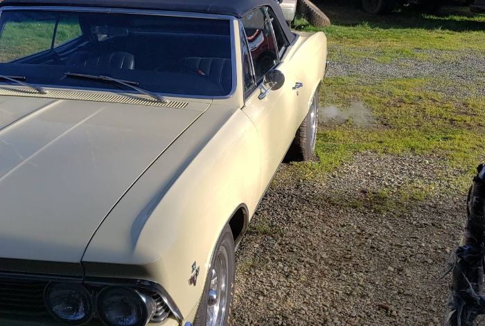 Chevrolet-Chevelle-1966-Butternut-yellow-7