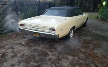 Chevrolet-Chevelle-1966-Butternut-yellow-8