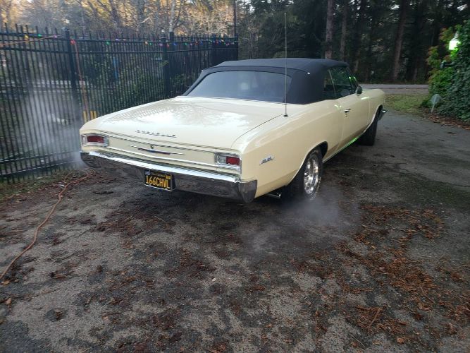 Chevrolet-Chevelle-1966-Butternut-yellow-8