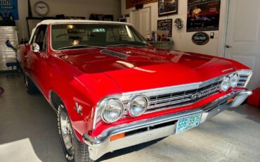 Chevrolet-Chevelle-1967-Convertible-4