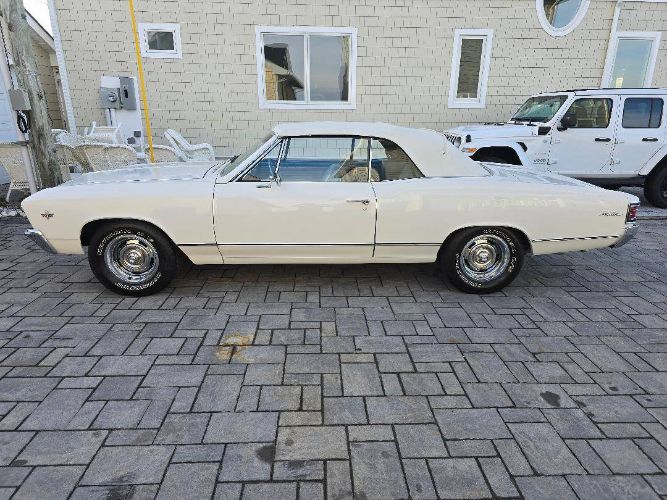 Chevrolet-Chevelle-1967-White-2