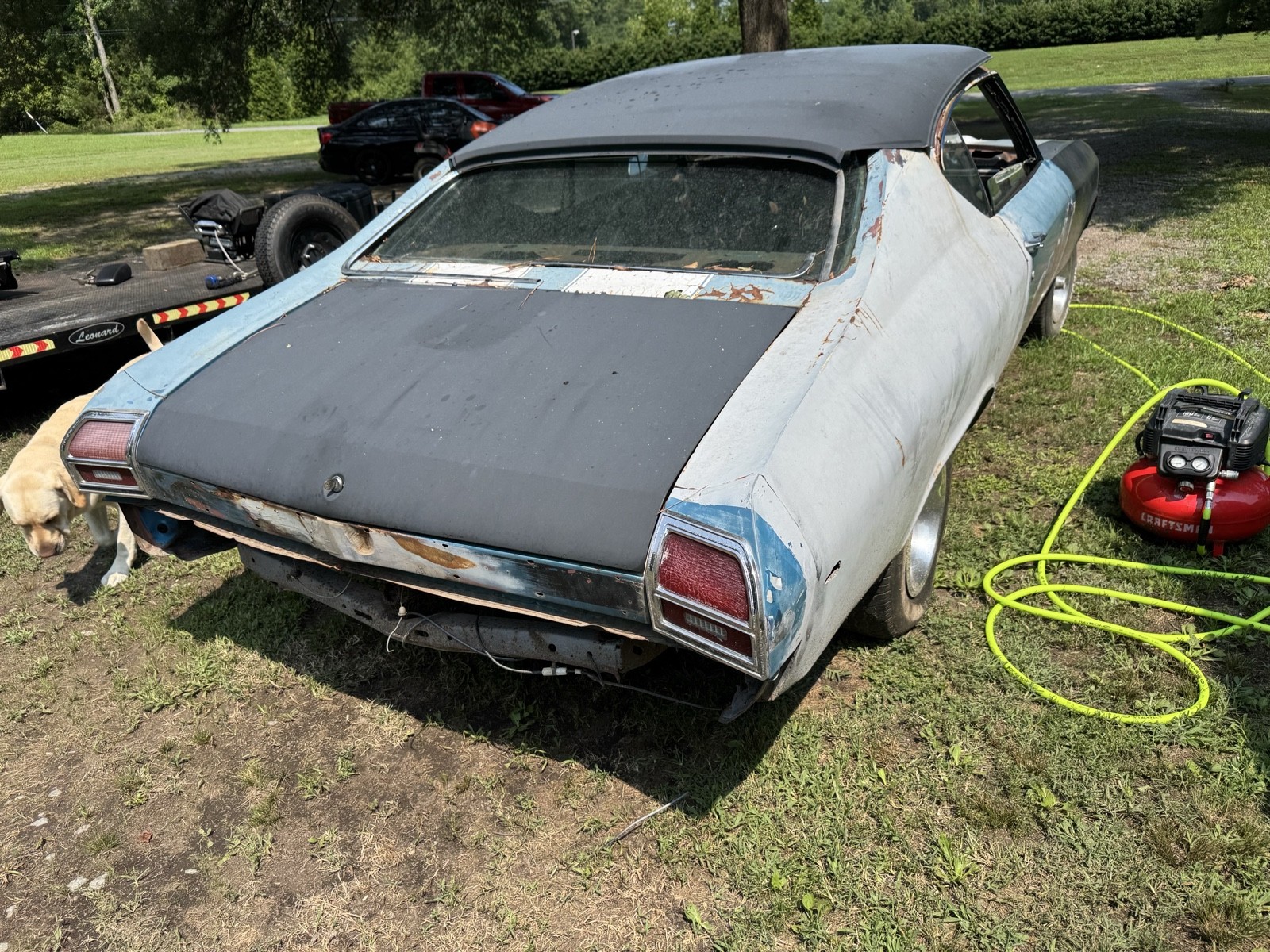 Chevrolet-Chevelle-1969-1