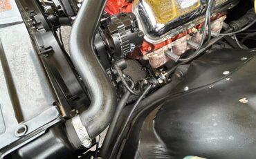 Chevrolet-Chevelle-1969-Black-Black-37