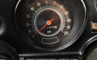 Chevrolet-Chevelle-1969-Cortez-Silver-Black-38