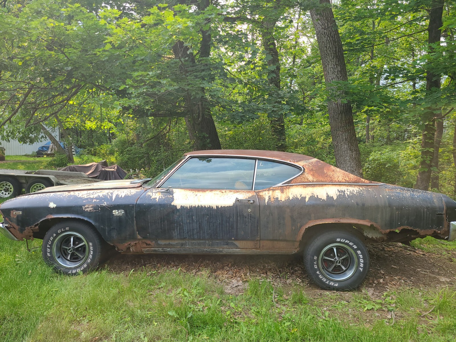 Chevrolet-Chevelle-1969-Coupe-1