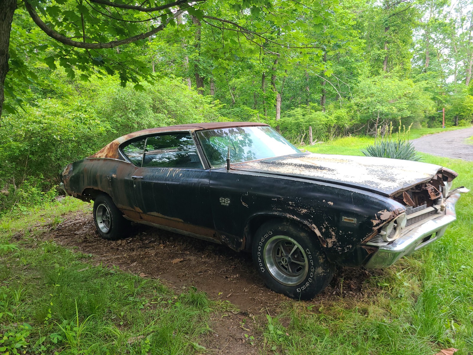 Chevrolet-Chevelle-1969-Coupe-2